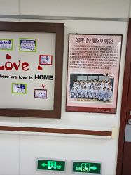 -复旦大学附属妇产科医院(杨浦院区)