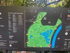 -墨尔本皇家植物园