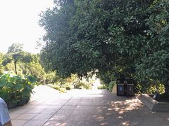 -南山植物园