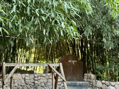 -清雅臻品·竹林院落·新派青岛菜(崂山店)