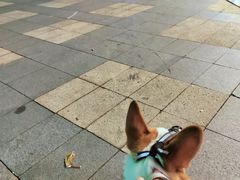 -万达广场(东莞东城店)