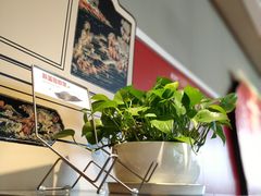 -肯德基(观前新店)