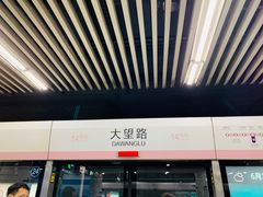 -大望路(地铁站)