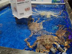 -盒马鲜生(财富中心店)