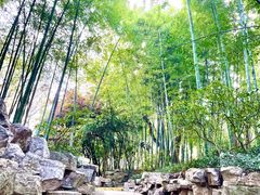 -南京古林公园