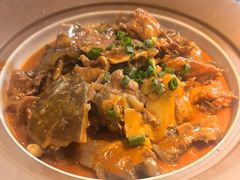 -洞庭家宴·头牌甲鱼(广渠门店)
