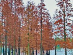 -白鹭湾湿地公园