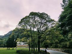 -贵州省植物园