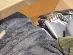 -海底捞火锅(顺城购物中心店)