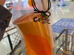 -CoCo都可(瓦房店新玛特店)