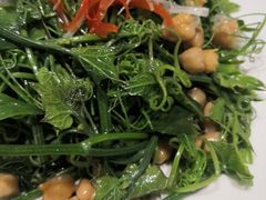 -巴依老爷新疆美食(常营店)