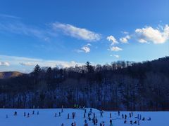 -亚布力新体委滑雪场