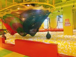 -宝燕乐园(闵行旗舰店)