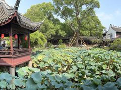 -上海醉白池公园