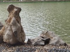-西湖公园(鼓楼区)