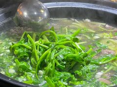 豌豆尖-乐山食古香跷脚牛肉