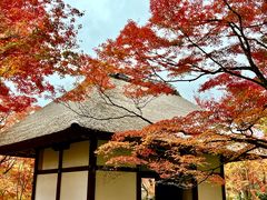 -常寂光寺