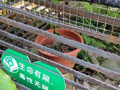 -广州神农草堂中医药博物馆