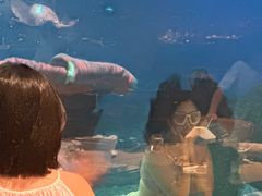 -涛·海底餐厅·美人鱼·自助餐·海底隧道(三亚海棠湾洲际度假酒店)