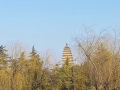 -洛阳白马寺