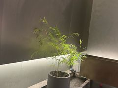 -望京辣宴·古法川菜(望京店)