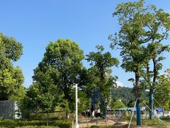 -苏州上方山国家森林公园