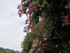 -桂山风景旅游区