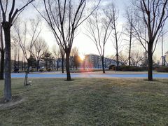 -北龙湖湿地公园