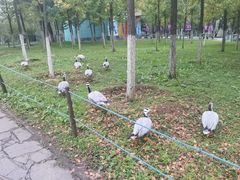 -西安秦岭野生动物园
