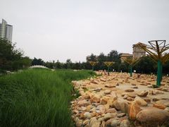 -绿岛公园(滨海新区)