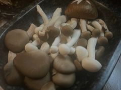-新哥老官·畅吃123·美蛙世界(苏宁广场店)