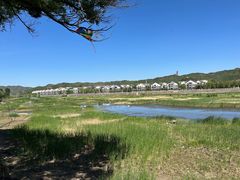 -磬锤峰森林公园