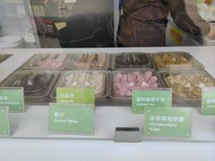 -Salud撒露欧洲冻酸奶(蓝色港湾店)