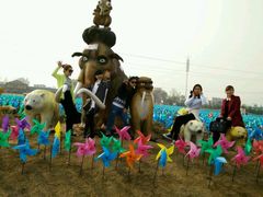 -洛阳郁金香牡丹园