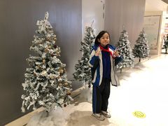 -捞王猪肚鸡火锅(财富中心店)