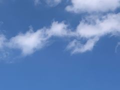 -金鸡山公园