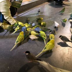 -酷嗒动物文化乐园(cutezoo西溪乐天城店)