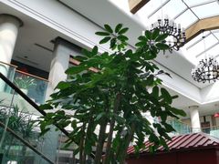 -旺顺阁鱼头泡饼(小红门店)