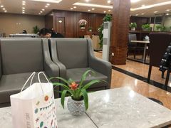 -桃仙机场头等舱休息室