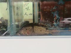 -老味道1992(武当山店)