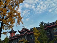 -四川大学(华西校区)