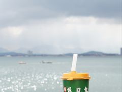 -养马岛旅游度假区
