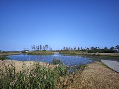 -春花秋色城市公园