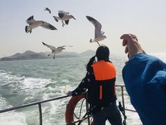 -海驴岛(荣成市)