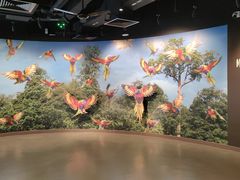 -新加坡飞禽公园