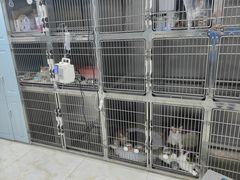 -莘程宠物医院(金山店)