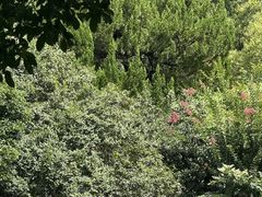 -桂林公园(地铁站)