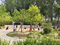 -仁和公园(顺义区)