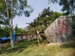 -辽宁省实验中学