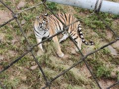 -西霞口神雕山野生动物世界